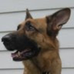 Meet your Posher, Thomas